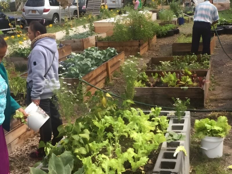 IMG_0291-2-1024x479-ezgif.com-webp-to-jpg-converter (1)